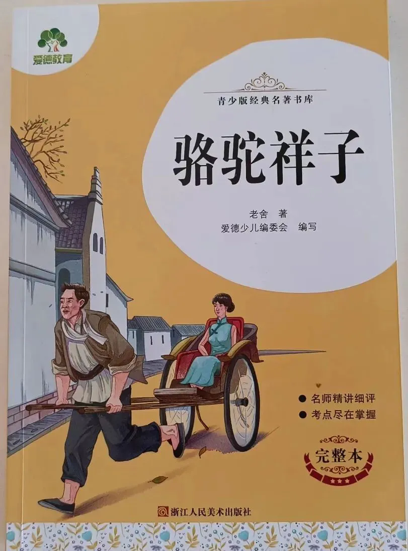职业篮球运动员的试训经验分享_1